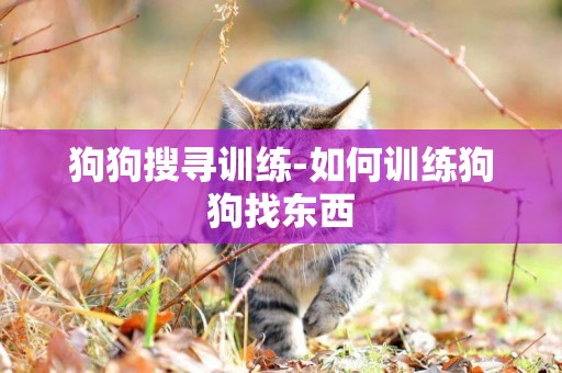 狗狗搜尋訓練-如何訓練狗狗找東西