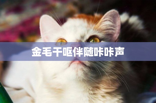 金毛干嘔伴隨咔咔聲