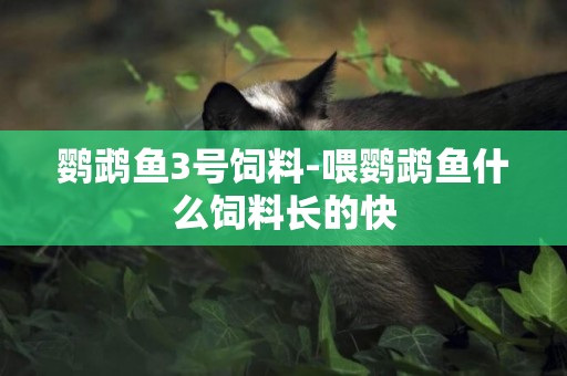 鸚鵡魚3號飼料-喂鸚鵡魚什么飼料長的快