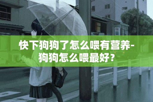 快下狗狗了怎么喂有營養-狗狗怎么喂最好？