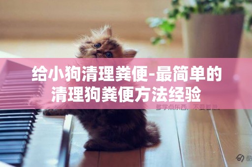 給小狗清理糞便-最簡單的清理狗糞便方法經驗