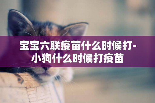 寶寶六聯疫苗什么時候打-小狗什么時候打疫苗