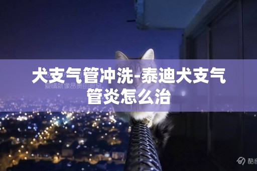 犬支氣管沖洗-泰迪犬支氣管炎怎么治