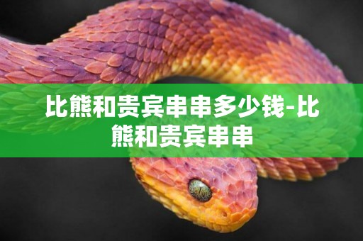 比熊和貴賓串串多少錢-比熊和貴賓串串
