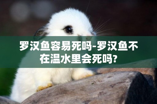 羅漢魚容易死嗎-羅漢魚不在溫水里會死嗎?