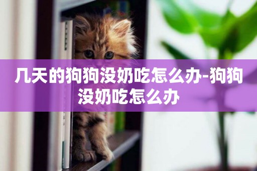 幾天的狗狗沒奶吃怎么辦-狗狗沒奶吃怎么辦