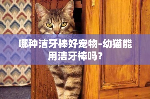 哪種潔牙棒好寵物-幼貓能用潔牙棒嗎？