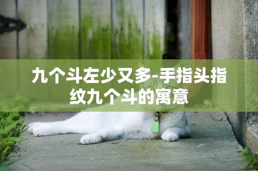 九個斗左少又多-手指頭指紋九個斗的寓意
