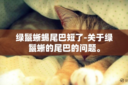 綠鬣蜥蜴尾巴短了-關于綠鬣蜥的尾巴的問題。