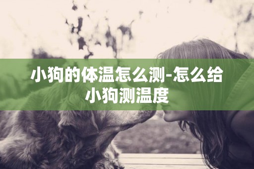 小狗的體溫怎么測-怎么給小狗測溫度