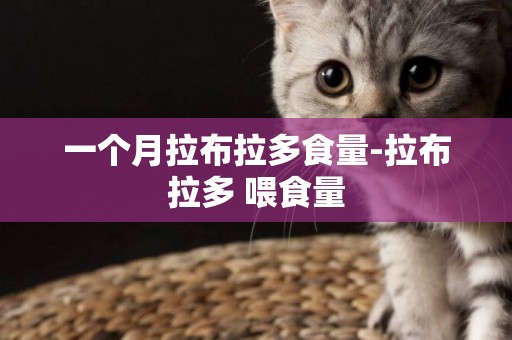 一個月拉布拉多食量-拉布拉多 喂食量