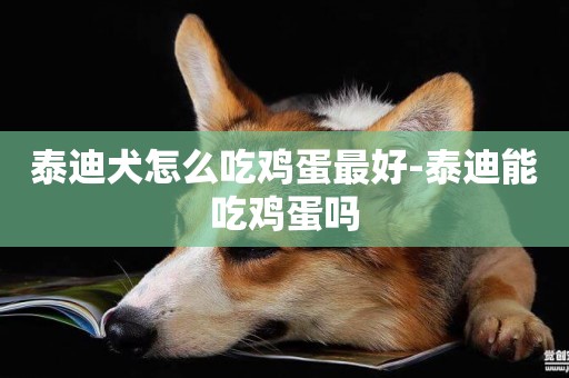 泰迪犬怎么吃雞蛋最好-泰迪能吃雞蛋嗎