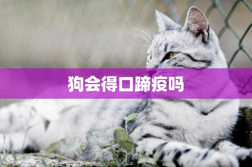 狗會得口蹄疫嗎