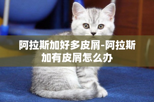 阿拉斯加好多皮屑-阿拉斯加有皮屑怎么辦