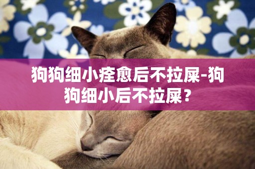 狗狗細小痊愈后不拉屎-狗狗細小后不拉屎？