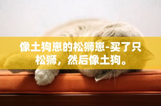 像土狗崽的松獅崽-買了只松獅，然后像土狗。