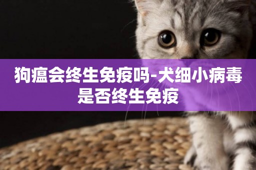 狗瘟會終生免疫嗎-犬細小病毒是否終生免疫