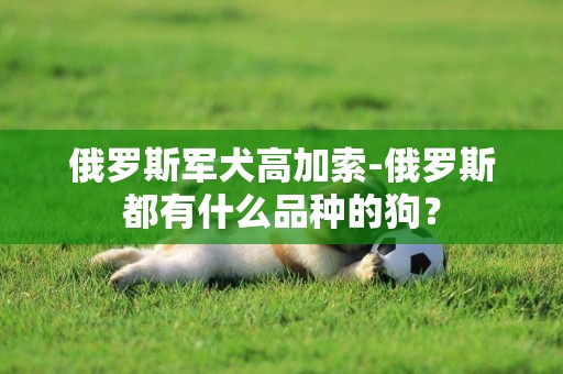 俄羅斯軍犬高加索-俄羅斯都有什么品種的狗？