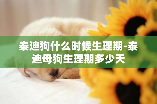 泰迪狗什么時候生理期-泰迪母狗生理期多少天