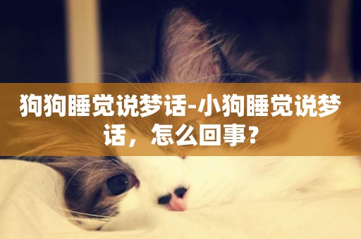 狗狗睡覺說夢話-小狗睡覺說夢話，怎么回事？