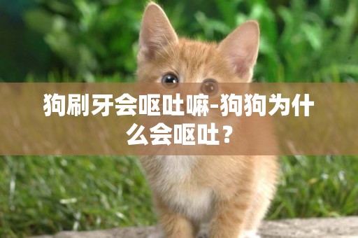 狗刷牙會嘔吐嘛-狗狗為什么會嘔吐？