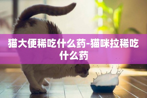貓大便稀吃什么藥-貓咪拉稀吃什么藥