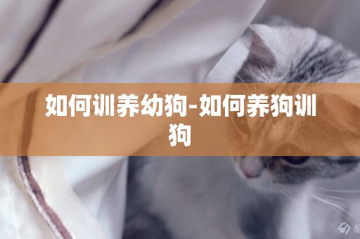 如何訓養幼狗-如何養狗訓狗
