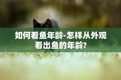 如何看魚年齡-怎樣從外觀看出魚的年齡?