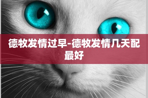 德牧發情過早-德牧發情幾天配最好