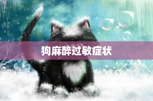 狗麻醉過敏癥狀