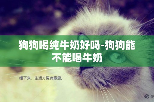 狗狗喝純牛奶好嗎-狗狗能不能喝牛奶