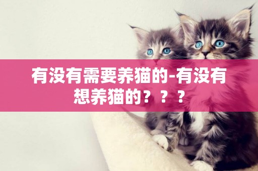 有沒有需要養貓的-有沒有想養貓的？？？