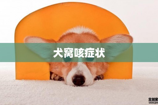 犬窩咳癥狀