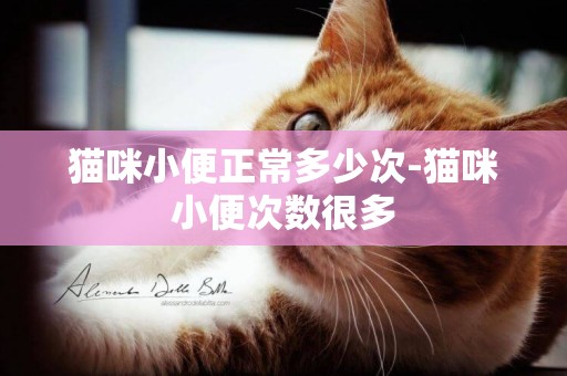 貓咪小便正常多少次-貓咪小便次數很多