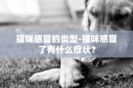 貓咪感冒的類型-貓咪感冒了有什么癥狀？