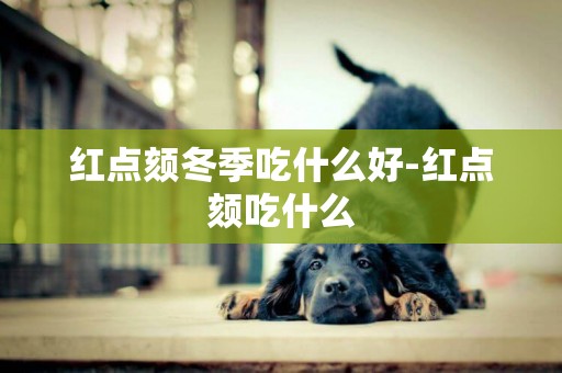 紅點頦冬季吃什么好-紅點頦吃什么