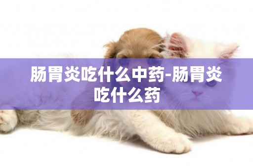 腸胃炎吃什么中藥-腸胃炎吃什么藥
