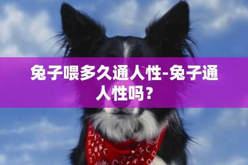 兔子喂多久通人性-兔子通人性嗎？
