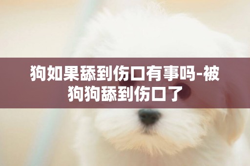 狗如果舔到傷口有事嗎-被狗狗舔到傷口了