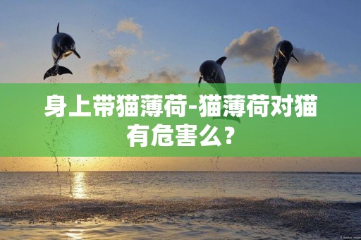 身上帶貓薄荷-貓薄荷對貓有危害么？