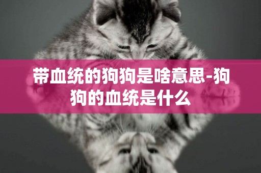 帶血統的狗狗是啥意思-狗狗的血統是什么