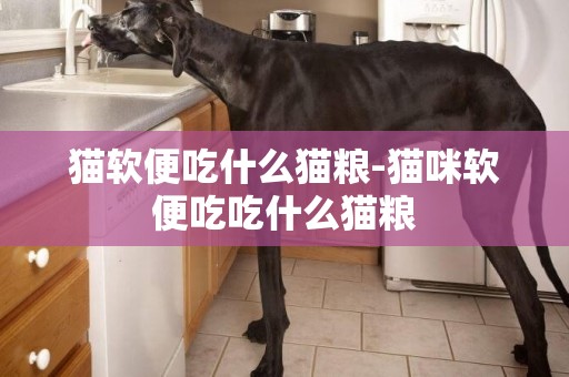 貓軟便吃什么貓糧-貓咪軟便吃吃什么貓糧