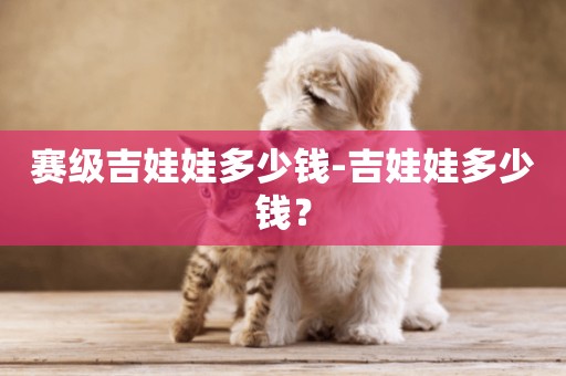 賽級吉娃娃多少錢-吉娃娃多少錢？