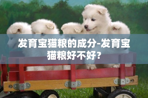 發育寶貓糧的成分-發育寶貓糧好不好？