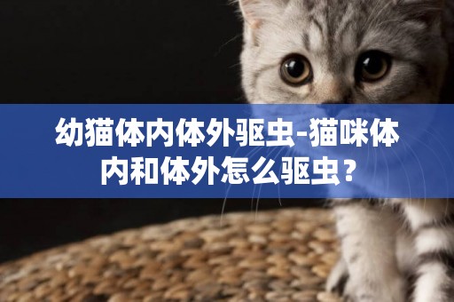 幼貓體內體外驅蟲-貓咪體內和體外怎么驅蟲？