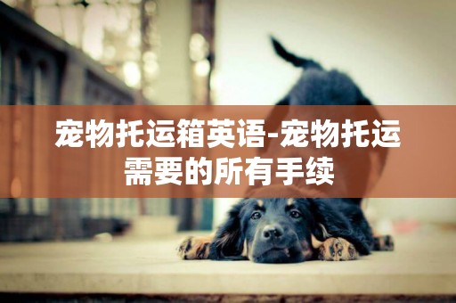 寵物托運箱英語-寵物托運需要的所有手續