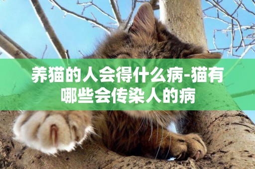 養貓的人會得什么病-貓有哪些會傳染人的病