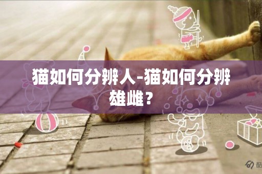 貓如何分辨人-貓如何分辨雄雌？