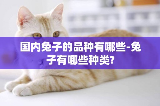 國內兔子的品種有哪些-兔子有哪些種類?