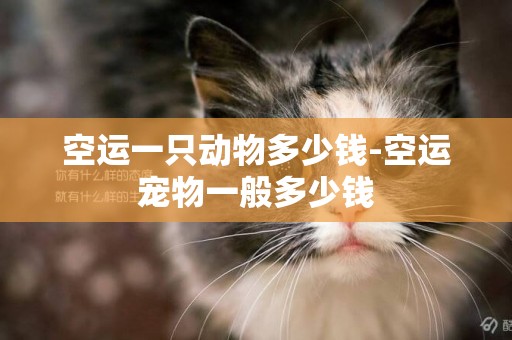 空運一只動物多少錢-空運寵物一般多少錢